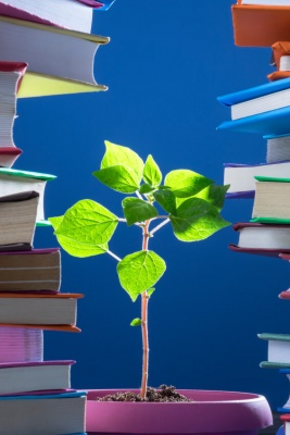 Educacion-Ambiental-2-libros